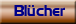 Bl&uuml;cher