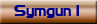 Symgun1