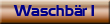 Waschb&auml;r1