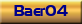 Baer04