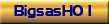 BigsasH01