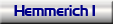 Hemmerich1